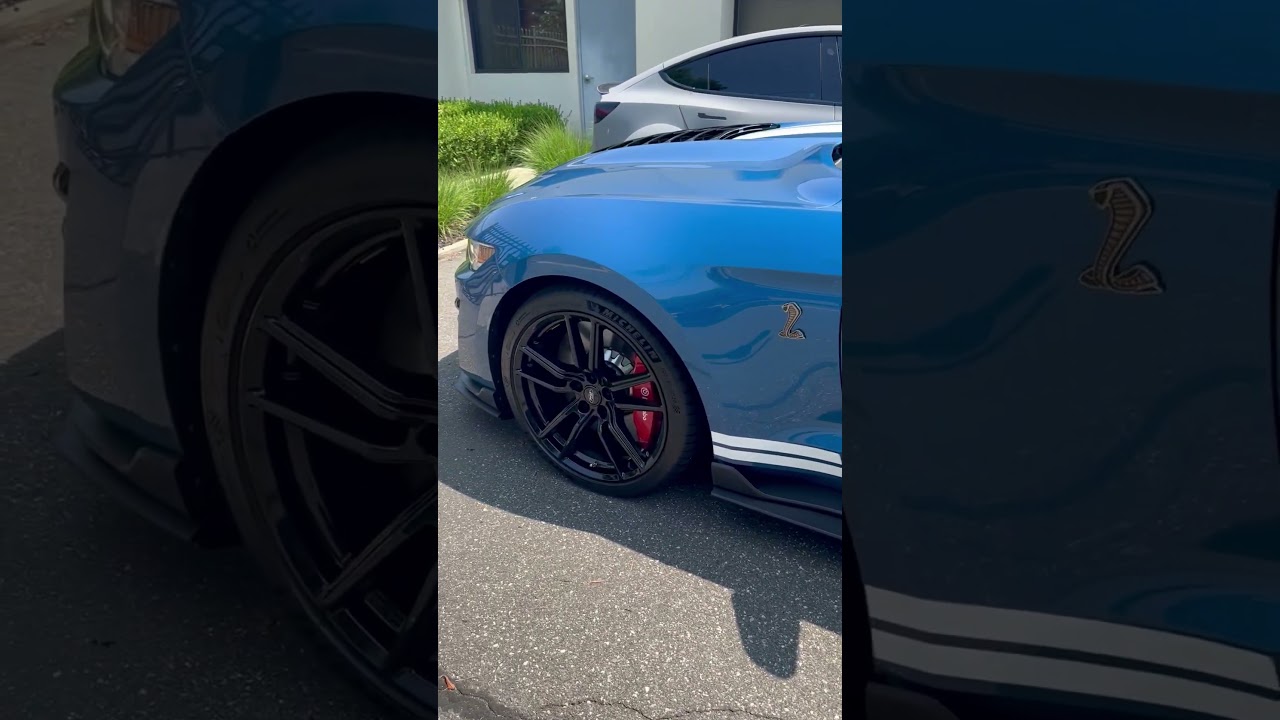 SHELBY GT500.. NO SWIRL MARKS 