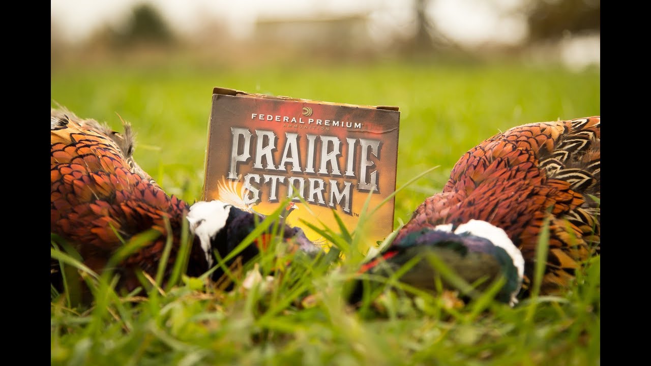 The Flush: Minnesota Milestone Hunt - Episode #4