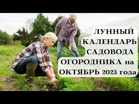 ЛУННЫЙ КАЛЕНДАРЬ САДОВОДА ОГОРОДНИКА - ОКТЯБРЬ 2023┃#луна #календарь #октябрь #2023 #сад #совет #топ