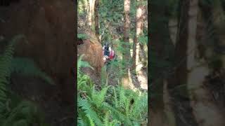 1985 Honda Atc350 Hill Climb Fail