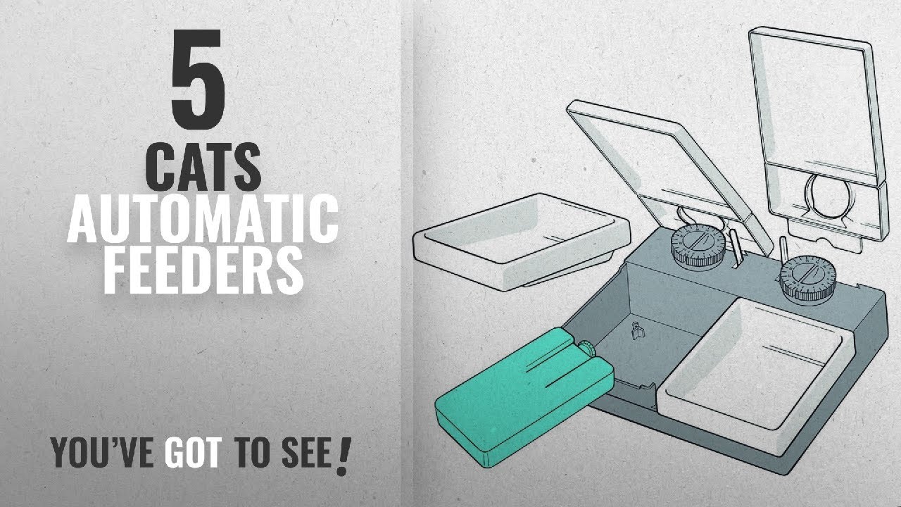 Top 10 Cats Automatic Feeders [2018] Cat Mate C20 Automatic Pet Feeder