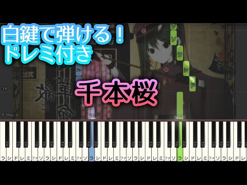白鍵で弾ける 千本桜 初心者向け ドレミ付き ピアノ 簡単 ボカロ 簡単ピアノ Youtube