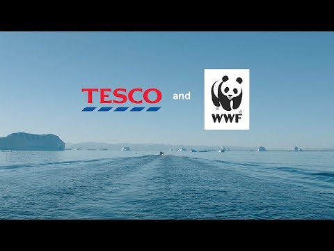 Tesco and WWF | Working Together