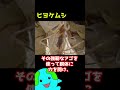【※虫注意】この生物を見つけても絶対に〇〇しないでください #shorts