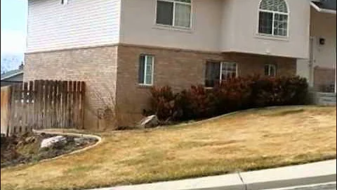 Homes for Sale - 906 S 1540 E Provo UT 84606 - Colby Smith