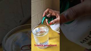 Floating Paperclip Experiment #Easy science experiment for kids#shorts#shortsfeed