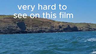 Honwave T40  and T38   Trip around Anglesey