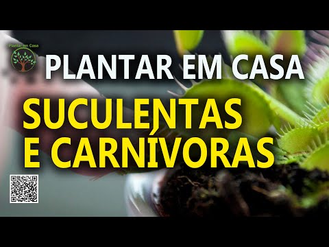 Vídeo: Plantas Carnívoras Para O Lar