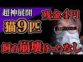 【飼育崩壊】にゃいるどはーとさん協力で保護!猫も自分もご飯を満足に食べられないという相談から現場に行き状況打開しに行ったがとんでもないことに、、、