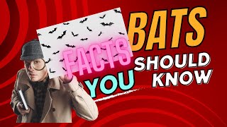 Myth: Bats are blind: Busting Bat Myths #misconceptions #bats #debunked