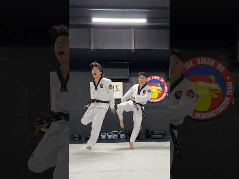 [K타이거즈] 사물 따라하기 📦 (※방심하지 말 것)#K타이거즈 #태권도 #Ktigers #Taekwondo #<strong>TKD</strong> #challenge