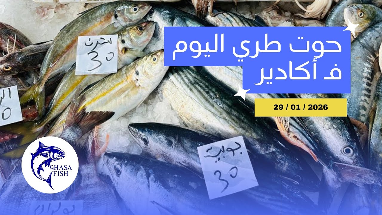 أثمنة السمك 🦐 اليوم الخميس 29 يناير 2026 
