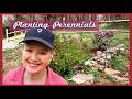 Planting PERENNIALS - Part 2 |Getting the Gardens Ready