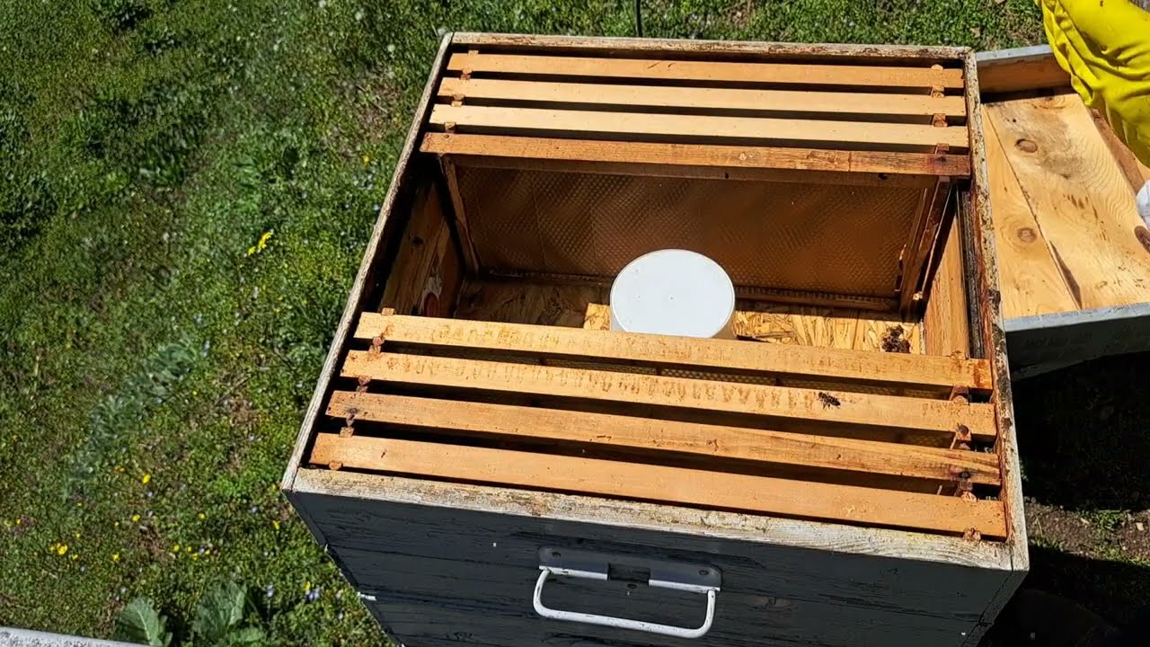 Rotacija plodišnih nastavaka (30.03.2024.)