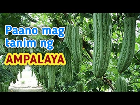 Video: Paano Magbabalik Gamit ang Paghahalaman: Paghahalaman Para sa Komunidad At Planeta