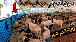 354 | 🥰أثمنة حولي العيد من مرجان طنجة بتاريخ 10\05\2026 😱هافين وصل سوق سيدي دريس الحرارين 