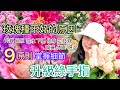 《養玫全攻略》9大原則❗️很多人玫瑰種不好花開差的原因就是這些問題了!從小白晉升綠手指的捷徑#Erin玫瑰花園#台灣介質如何調?