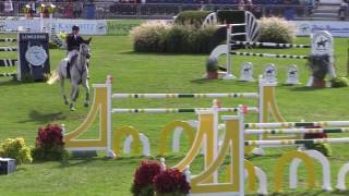 Video of BOKAI ridden by CATHERINE TYREE from ShowNet! Details