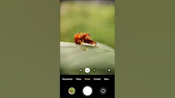 Mighty World Of Insects 🦗 | Adcom 6x Macro Mobile Phone Lens | #shotwithadcom #macrophotography