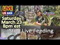 Saturday Night Livestream