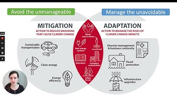 1 - Climate Change Mitigation vs. Adaptation
