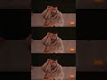 陈小春、林晓峰、张智霖 《阴天》,感性与理性来回拉扯。#披荆斩棘|《披荆斩棘2025》 Call Me By Fire 2025|MangoTV