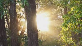 Watch Marcos Witt Yo Soy video