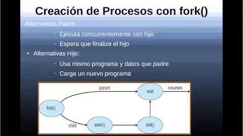 Clase | Procesos y Señales | 2da parte