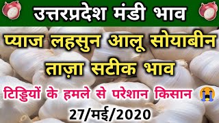 Potato Market Price 27 May 2020 | Up State Onion Rate | Up Garlic Wholesale Price | Farrukhabad Aalu