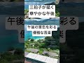 チェロとピアノで踊る午後の旋律