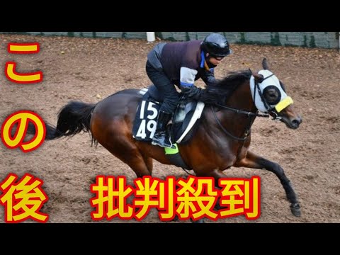 【青葉賞】シュガークン３連勝で重賞初Ｖ キタサンブラックの半弟が日本ダービーで兄超えだ[Japanese sports]