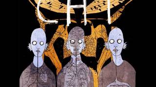 CHT - Cross Highest Trip - Vision Without Execution Is Hallucination (Full Album 2017)