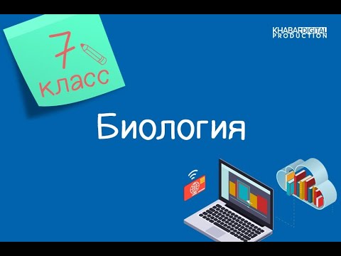 Биология. 7 класс. Продукты выделения у растений: начальные и конечные продукты фотосинтеза