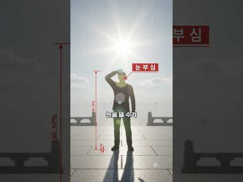 종묘 마당에 일부러 못생긴 돌을 깐 이유 thumbnail