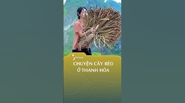 Công dụng này của cây bèo bạn đã biết chưa? #youtubeshorts #svietnam #wheninvietnam #vietnamculture