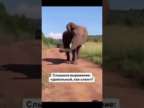 1 февраля 2025 г.