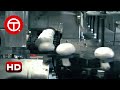 How Mushroom Are Cultivated in Factory | How It's Made ▶03