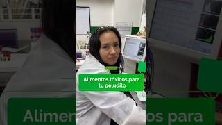 Alimentos Toxicos Para Tu Mascota