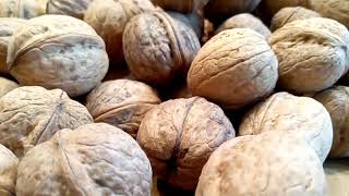 Сколько надо деревьев грецкого ореха чтобы собрать тонну урожая? Знает Walnuts Broker