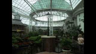 NICE Interactions 2012.wmv