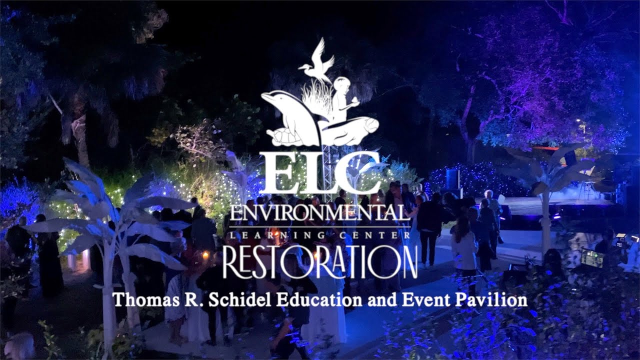 "Restoration"