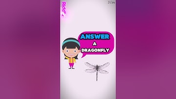 Riddle Me This Test Your Wits with These Brain Teasers #Shorts #Riddles #Puzzles #Kids #Learning