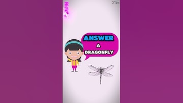 Riddle Me This Test Your Wits with These Brain Teasers #Shorts #Riddles #Puzzles #Kids #Learning