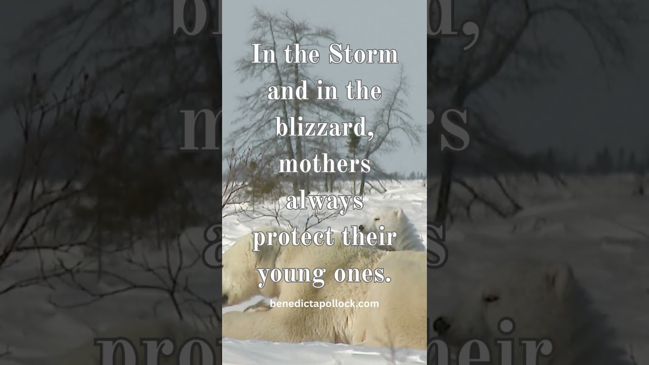 MOTHER&rsquo;S PROTECTION  #inspirationalquotes #motivation #faithquotes   #quotes #motivationalquotes