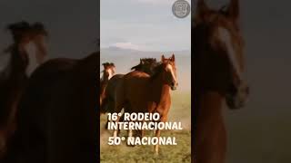 16º Rodeio Internacional e 50º  nacional do CTG os Praianos