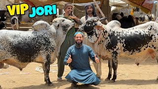 Alhamdulillah subah subah mandi pohanch gae aur mandi loot li 😍