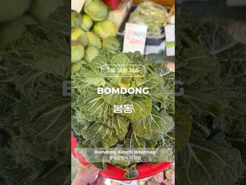 봄 제철채소 봄동 Bomdong
