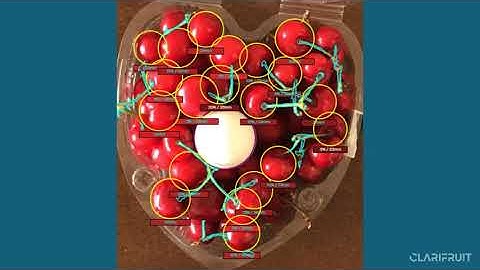 Inspecting Cherries with ClariFruit App