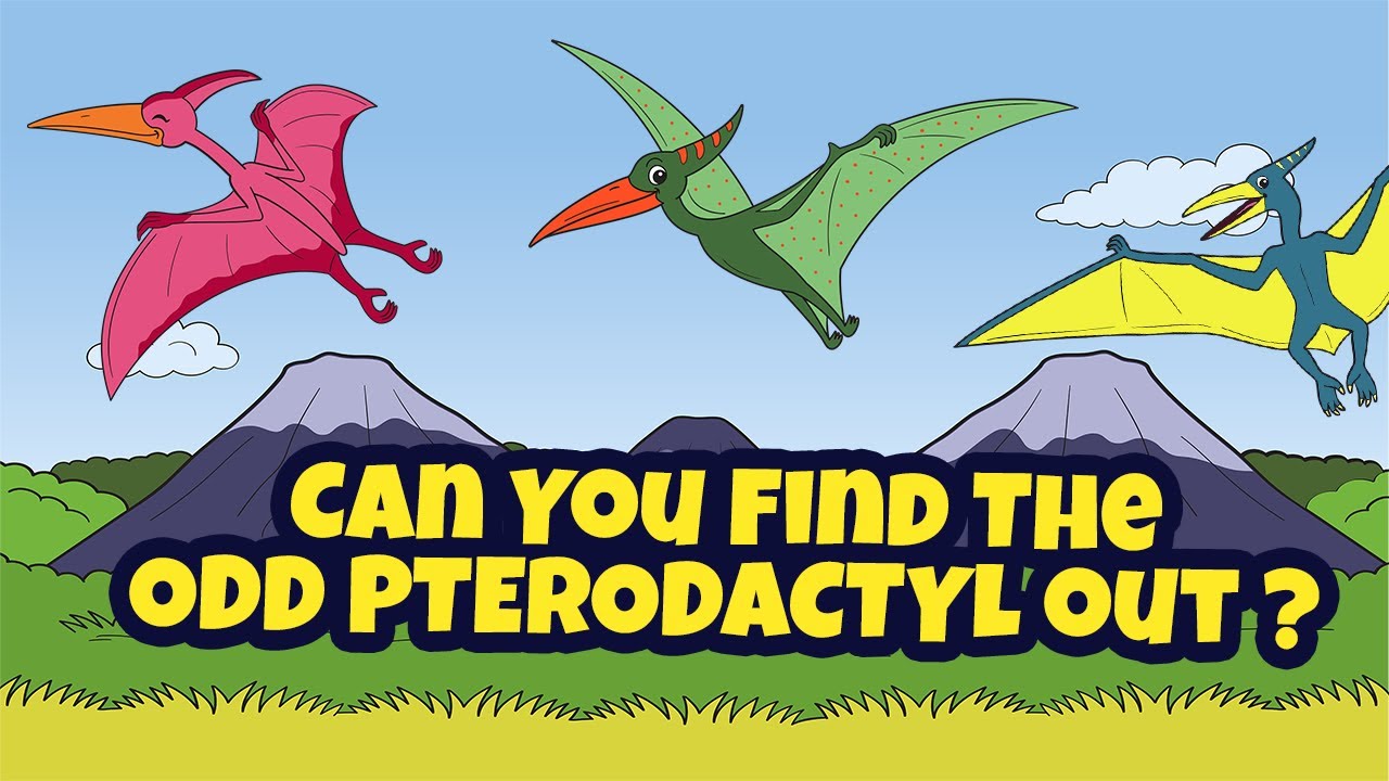 10 Interesting Pterodactyl Facts