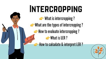 Intercropping types and evaluation | Land equivalent ratio (LER) #LER #intercropping